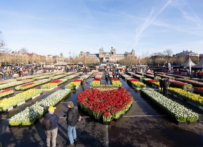 荷兰迎来国家郁金香日