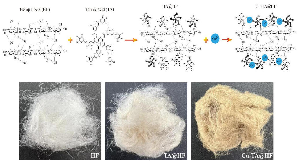 汉麻纤维的“变身记”