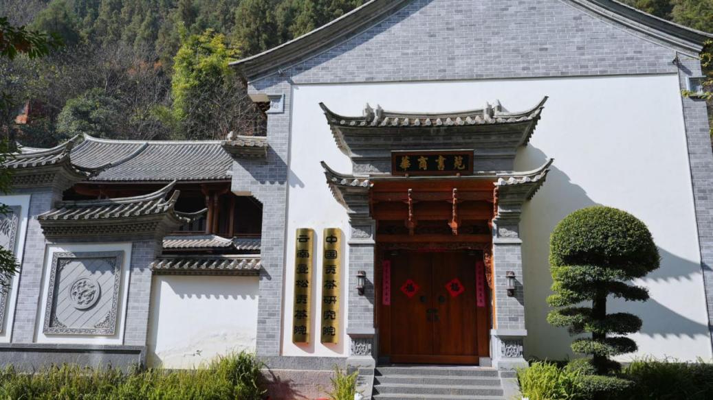 产学研协同赋能 百年贡茶焕新章 —— 云南曼松贡茶院揭牌成立