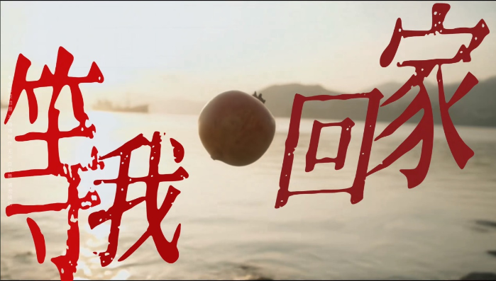 海边的石榴红了，两岸网友的眼泪止不住了