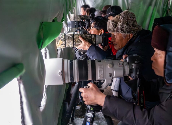 湖北神农架：林区观鸟引游人