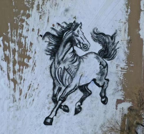 矿泉水瓶为工具 穆棱3名教师创作5000平方米骏马雪地画