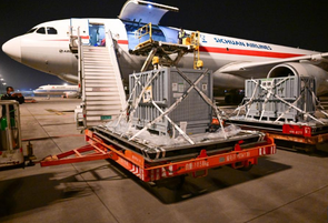 旅日大熊猫“晓晓”“蕾蕾”回到家乡