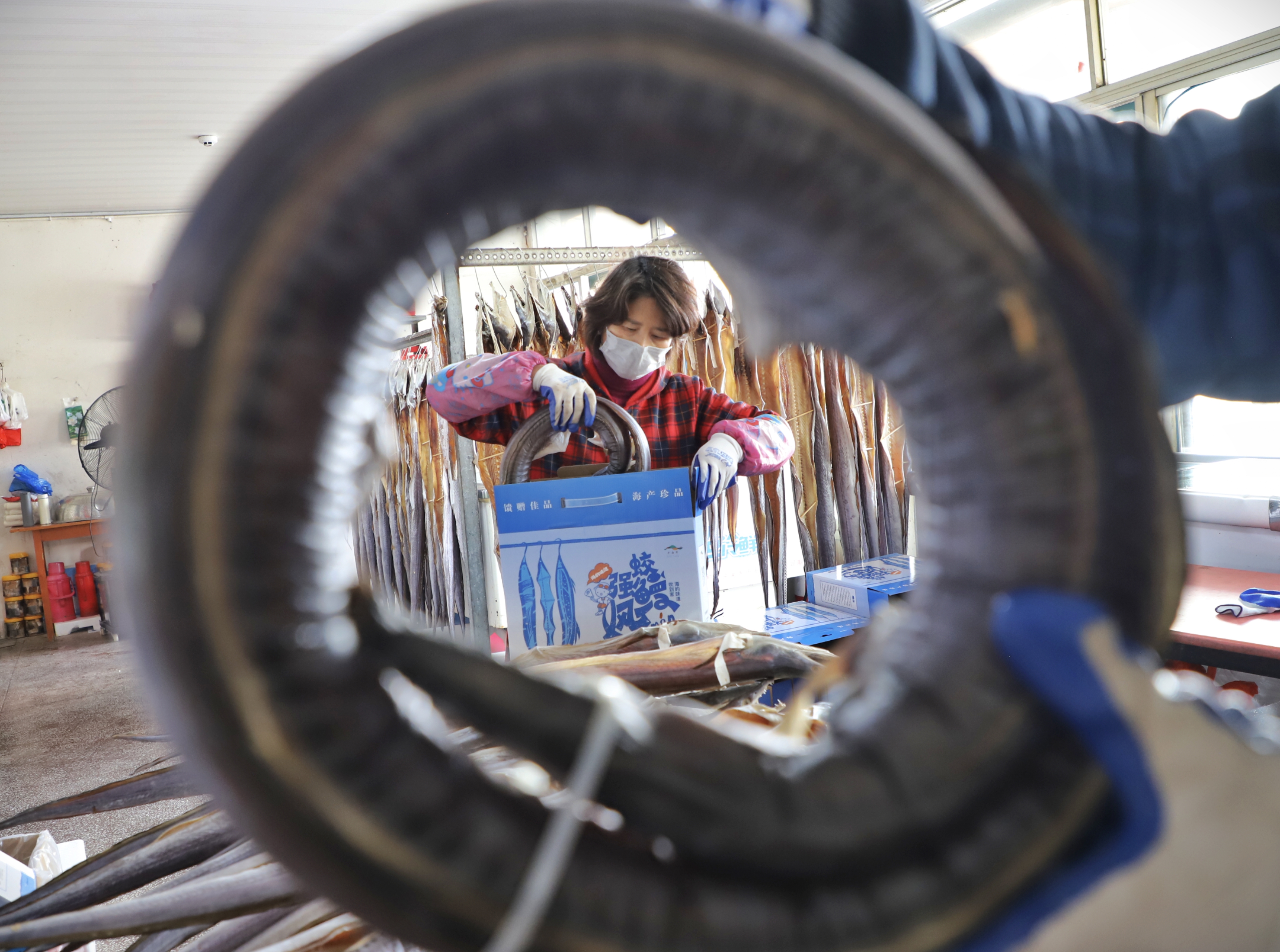 新春走基层|风鳗飘香年味浓，宁海湾渔村产销两旺促增收