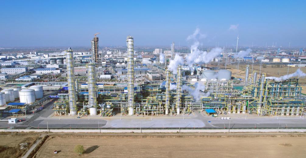 生命发育“黑匣子”、半导体新材料……这些重要科技创新有哪些秘密