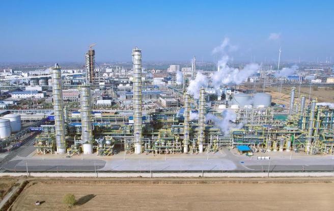 生命发育“黑匣子”、半导体新材料……这些重要科技创新有哪些秘密