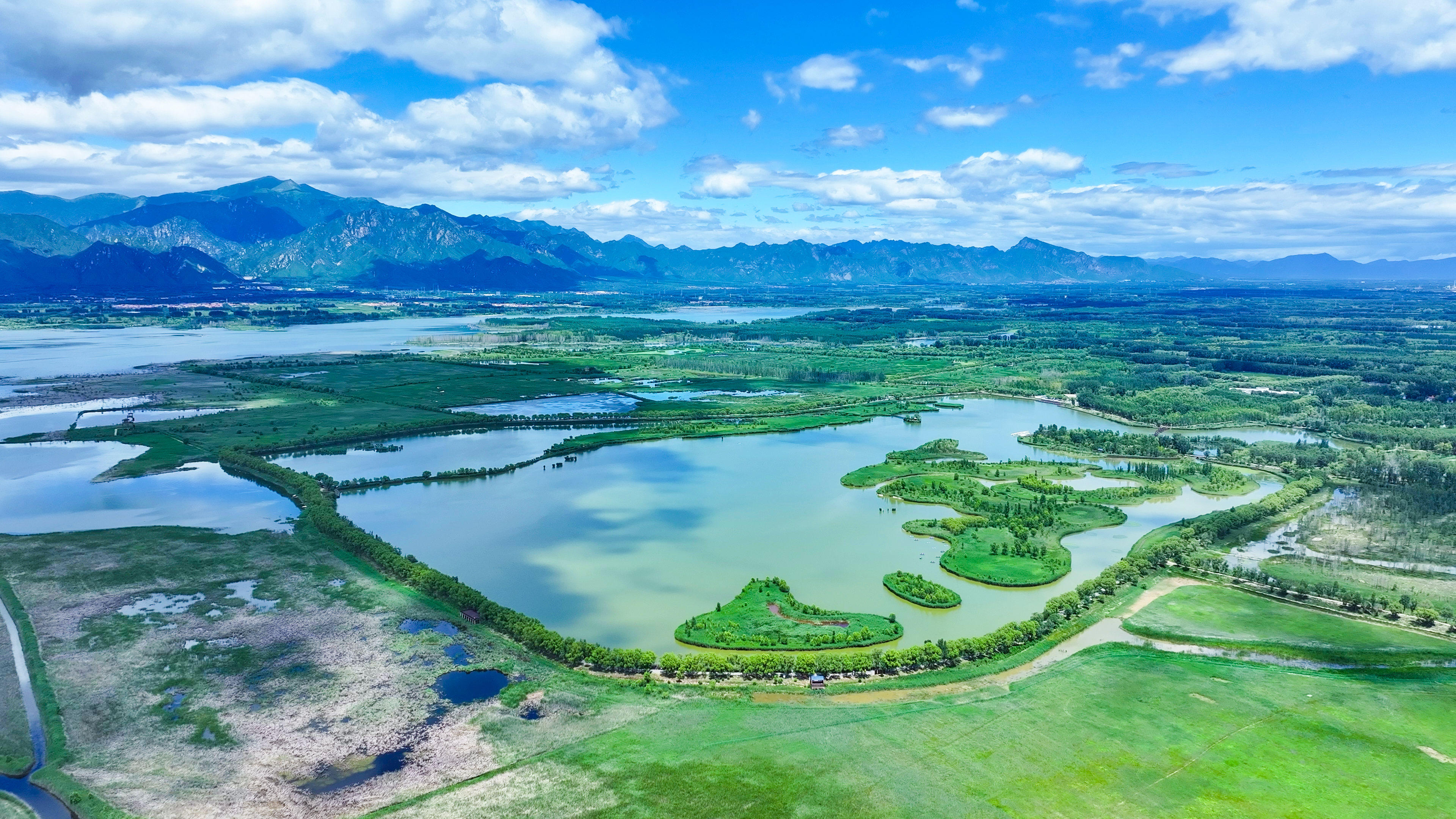 守一片湿地，润万物生灵
