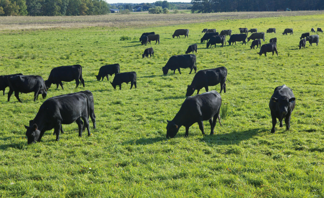 可感知高品质探寻荟在京举办 高端牛肉品牌伊知牛亮相
