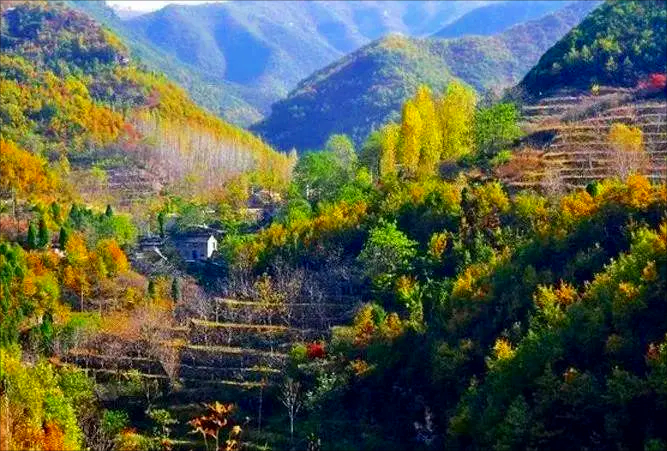 山西：推进农业提质　建设和美乡村