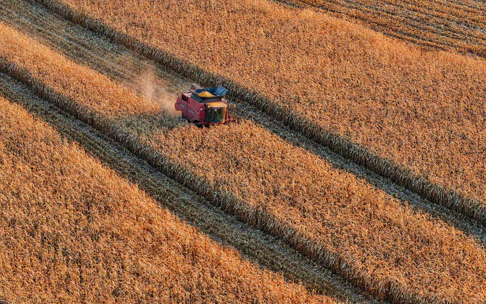 中央一号文件的热词里，藏着未来的发展信号