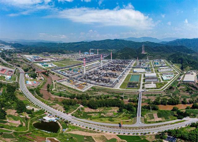 学习贯彻党的二十届四中全会精神丨聚焦关键领域 共绘发展蓝图