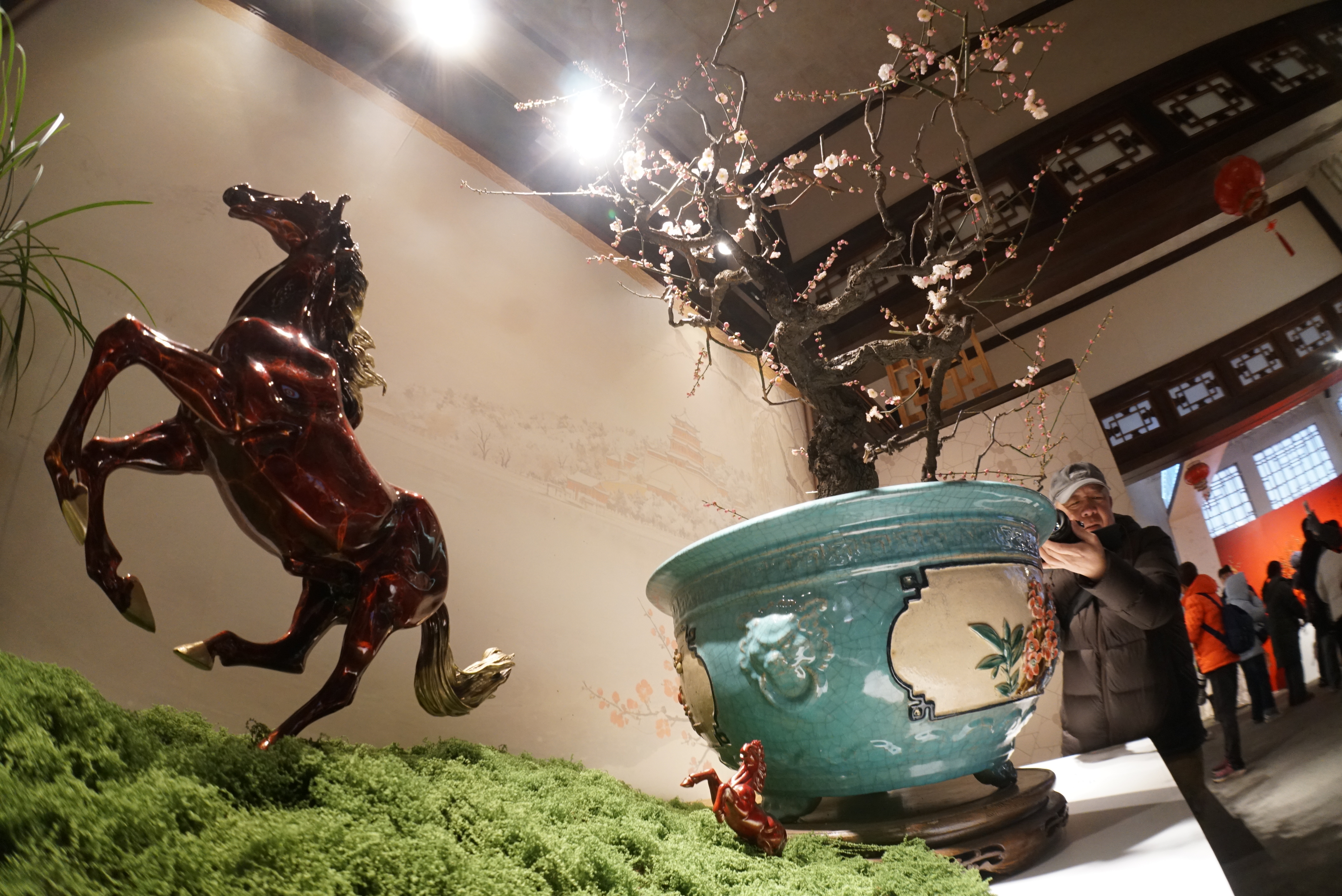 傲骨幽香迎新春 颐和园第十五届梅花蜡梅展启幕