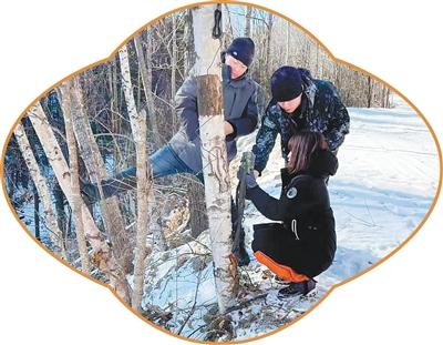 在林海雪原走了十五年