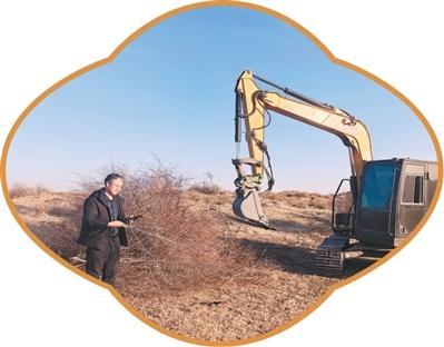 让裸露沙地冒出更多绿意