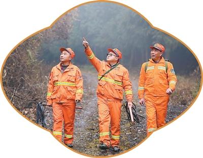 与苍翠为伴七个春节