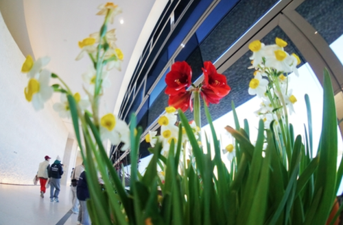 ScreenShot_2026-02-24_152405_798