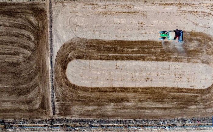 宁夏贺兰：人勤春来早 小麦播种忙