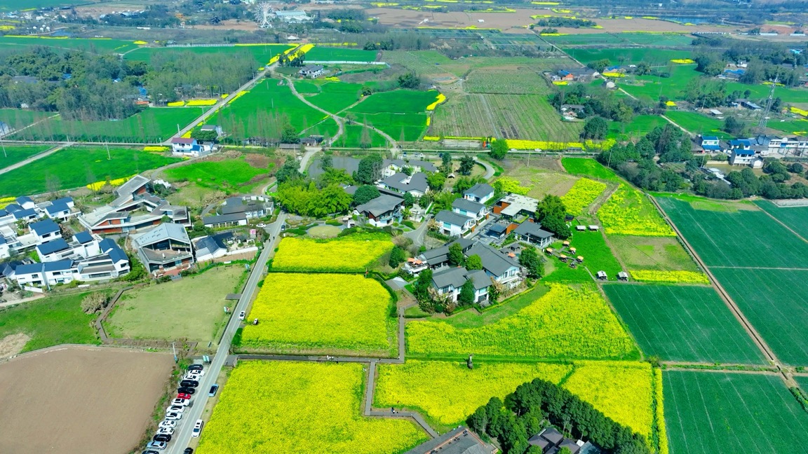 把农业建成现代化大产业