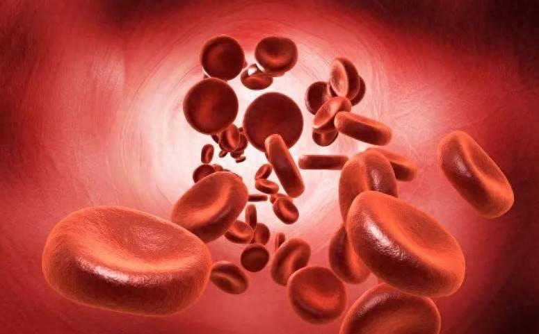 委员专家建议：从“被动救急”走向“主动管理”实现血友病的全生命周期管理