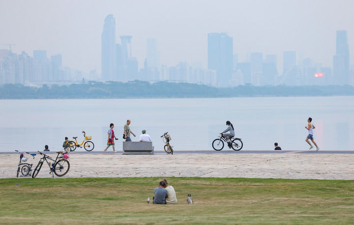 “为鸟熄灯”，深圳打造“鸟类友好城市”