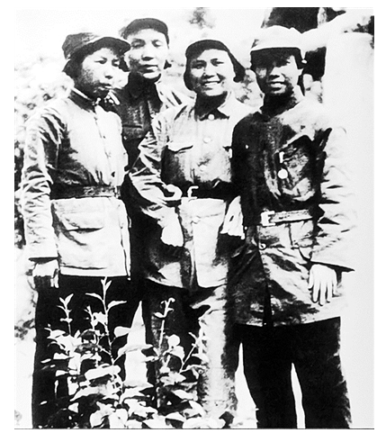 微信截图_20260316092812