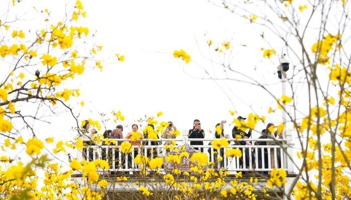 广西“春日经济”趋热 年轻人悦己养生乐“约拍”