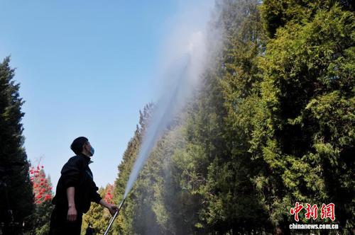 8cf276f0-917f-481e-8f54-5cf753c85827_zsite