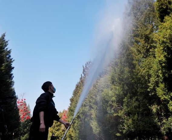 北京多举措应对春季花粉致敏挑战