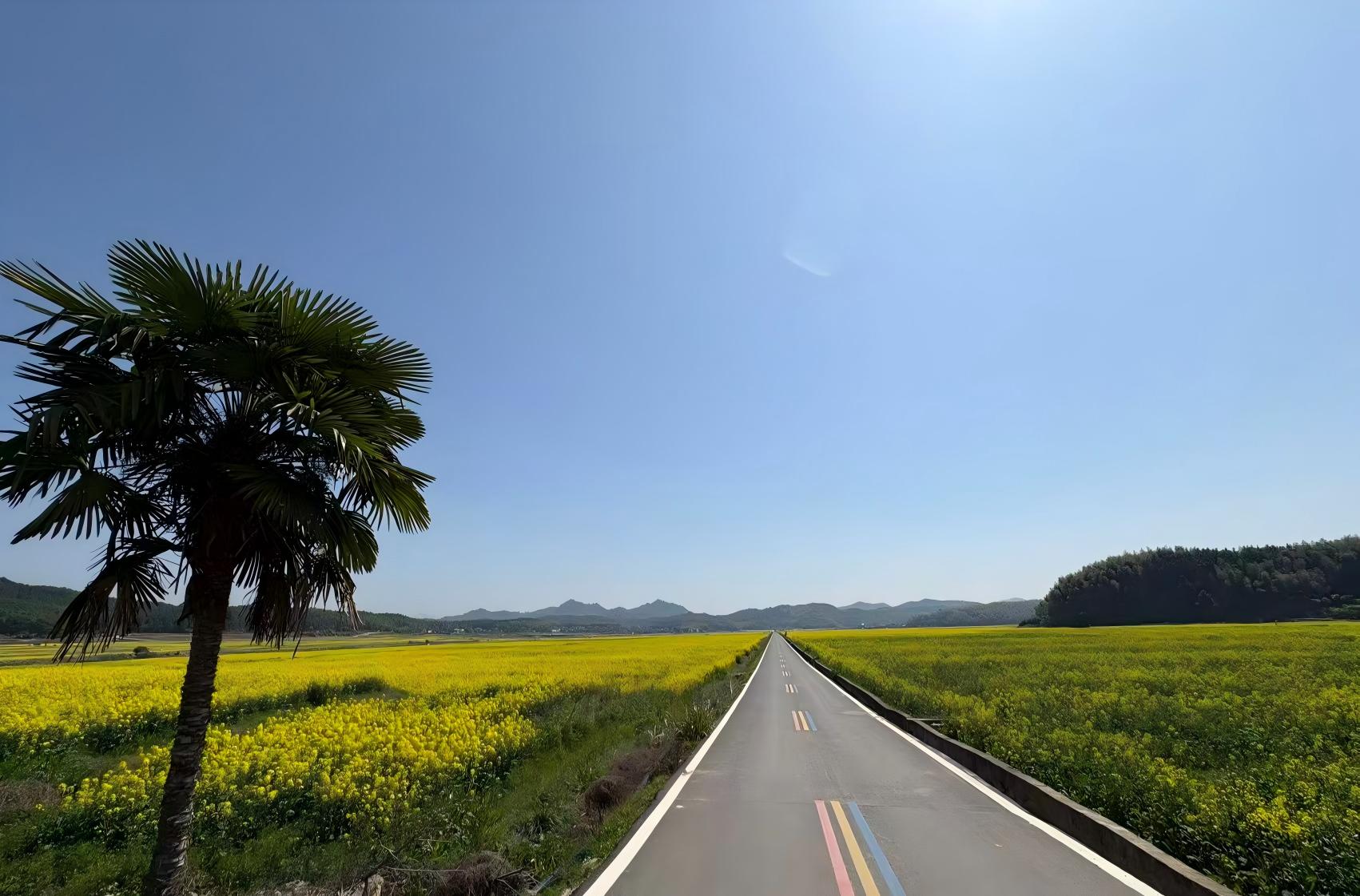 福建南平浦城县阳泉村：稻花香里说“文艺”，听取“哇”声一片