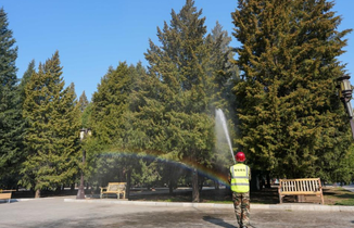 北京：多项措施应对“花粉季”