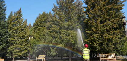 北京：多项措施应对“花粉季”