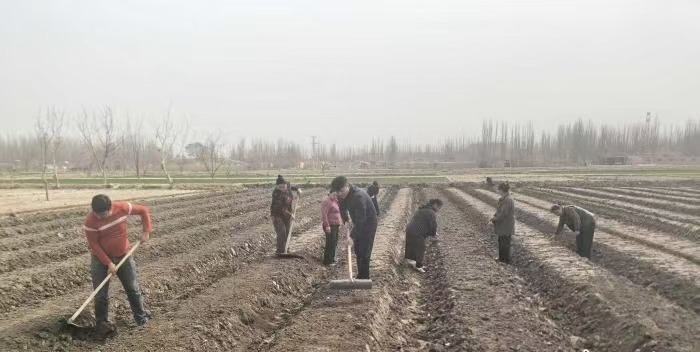 电商直播赋能 新疆基层干部蹚出乡村振兴“新路子”