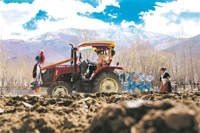 西藏农区迎来春耕大典