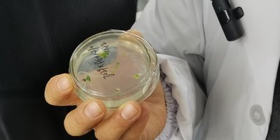 把育人课堂搬到产业一线