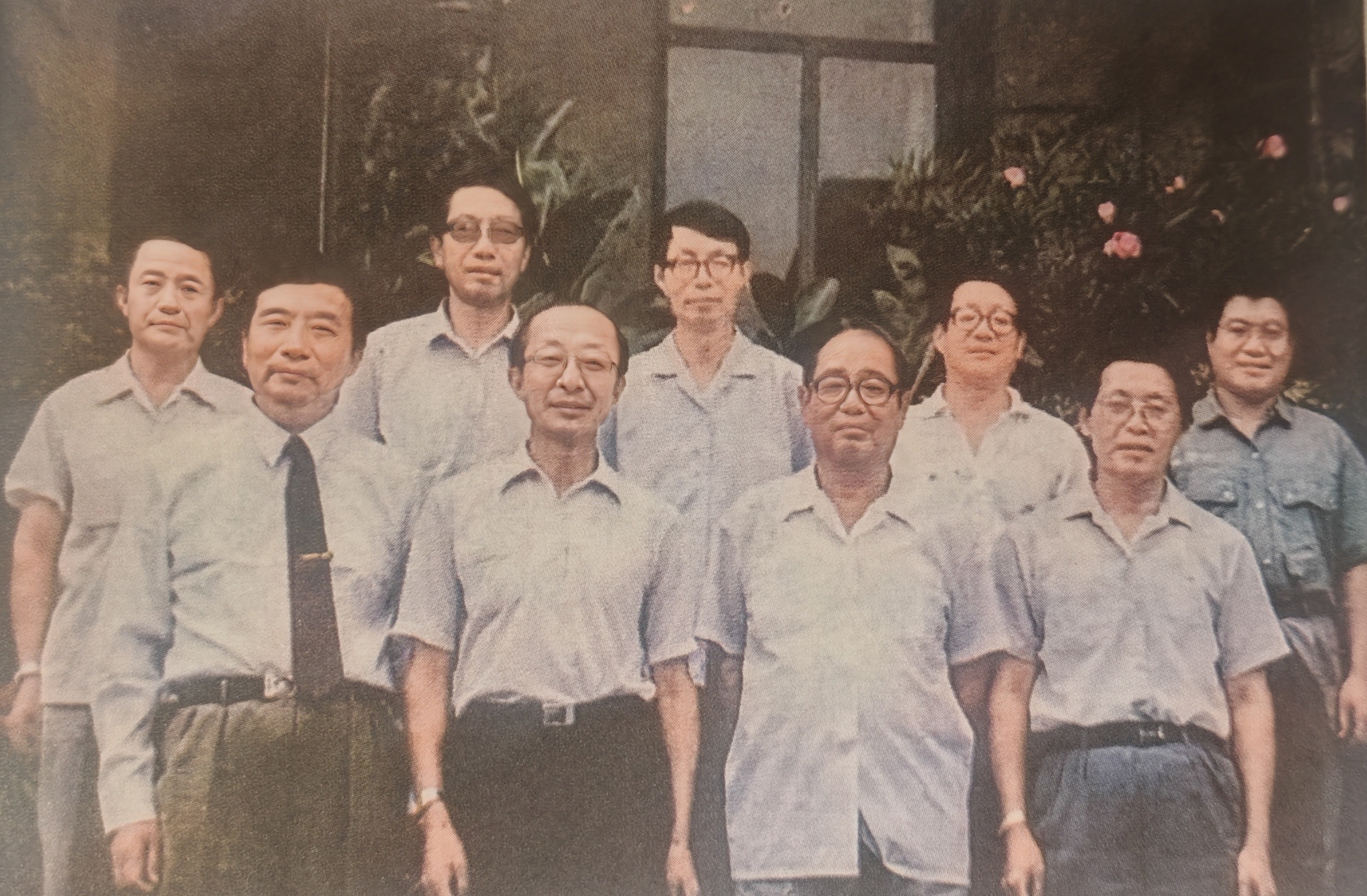 仰望苍松忆故人