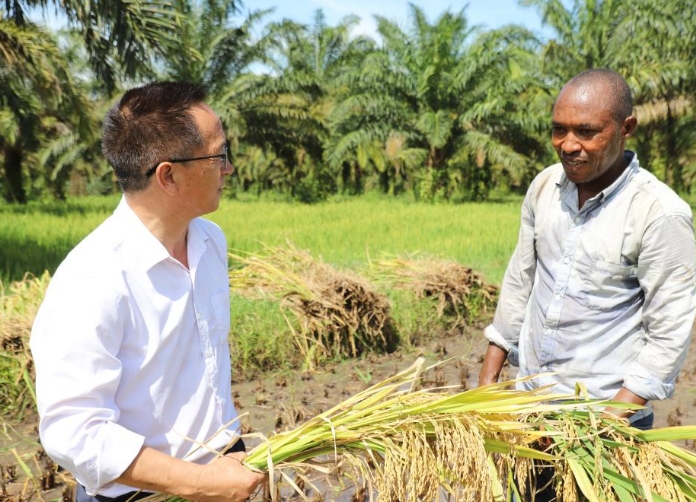 中国专家助力布隆迪水稻增产