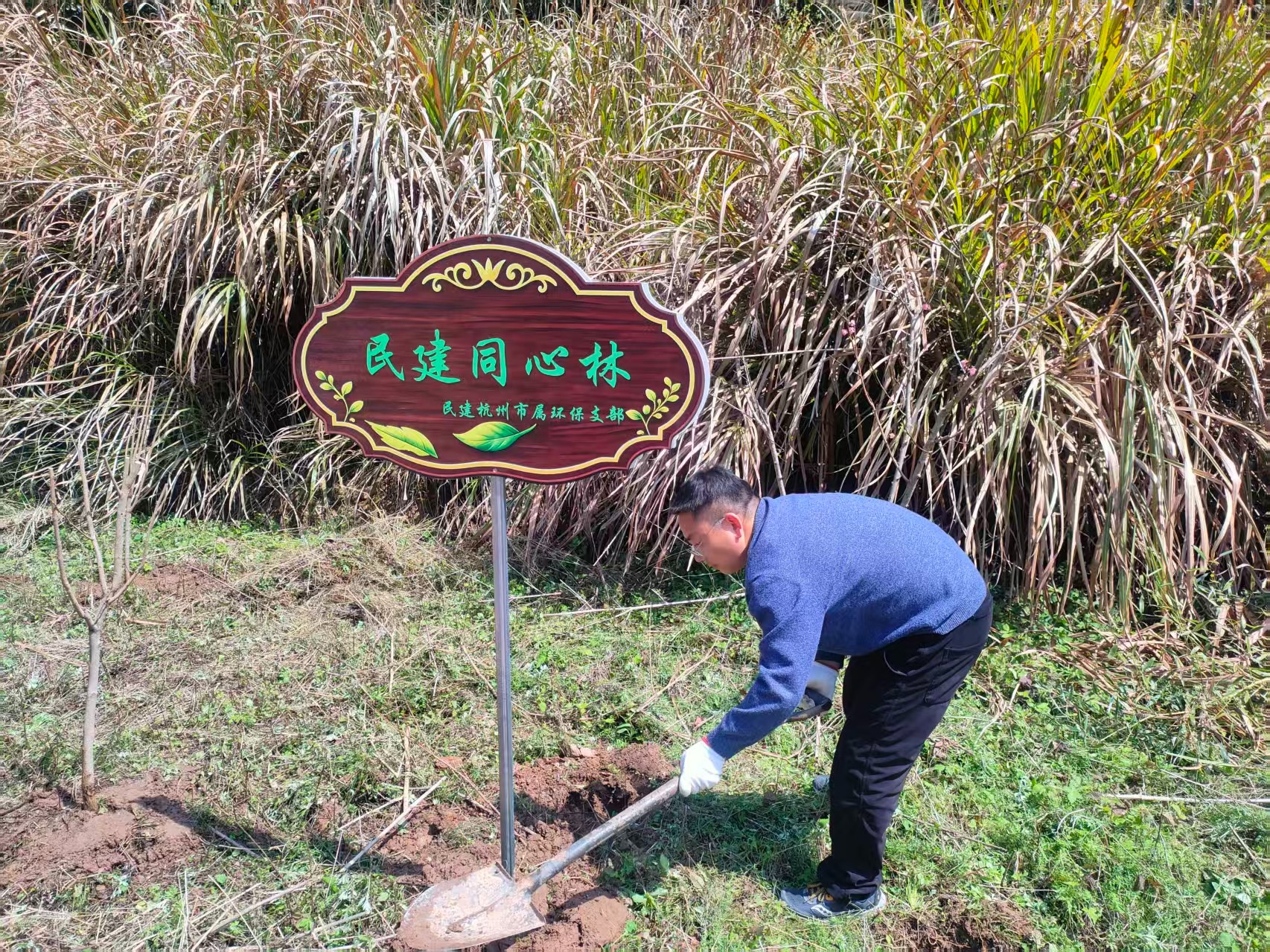 春染白云添新绿  同心共植“柿”意林