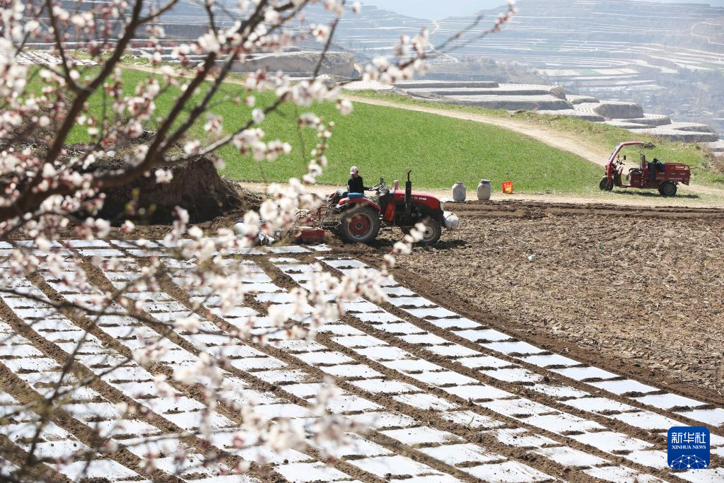 黄土高原上农耕忙