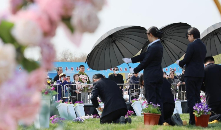 天津：节地生态安葬倡新风