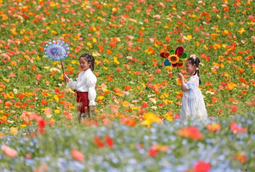 20260406f2212edb94c5418887d1ec082ddc0988_79531153c34741b79ea39ead2b88273d