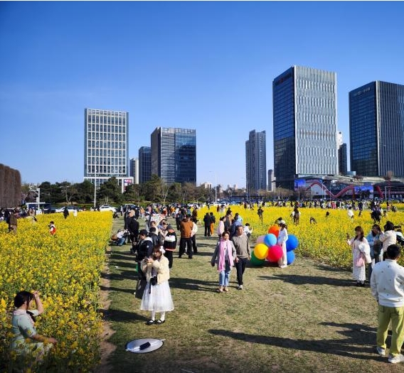天津：民众踏青赏花邂逅春日浪漫之约