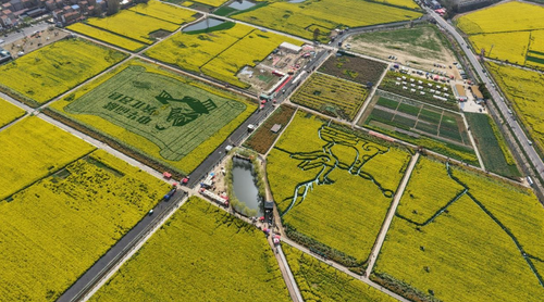 微信图片_20260409171807_1557_62 微信图片_20260409171807_1557_62