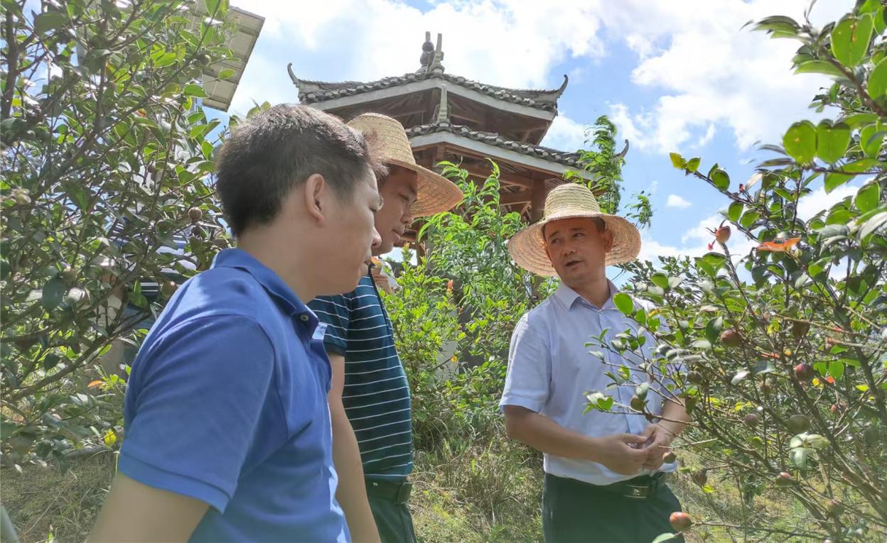 情暖侗乡 实干兴农