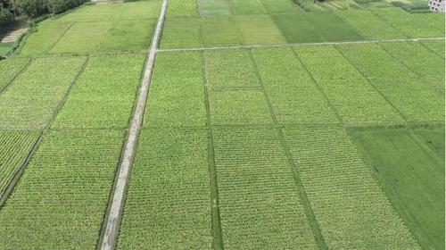 ScreenShot_2026-04-10_141626_905