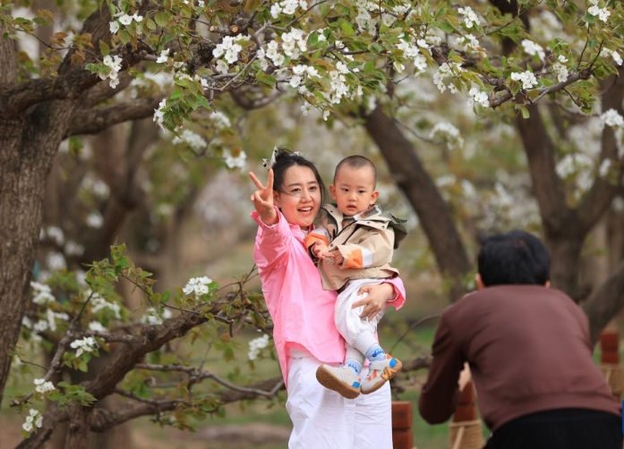 甘肃皋兰：梨花漫什川 花海醉游人