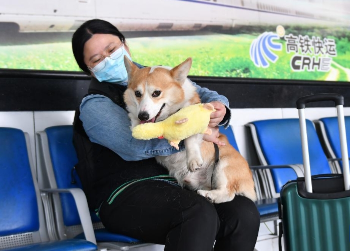 “爱宠行”便利宠物出行