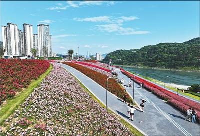 岷江畔，从工厂围江到花海绽放