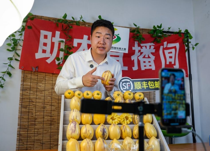 甘肃民勤：“沙乡”果业兴