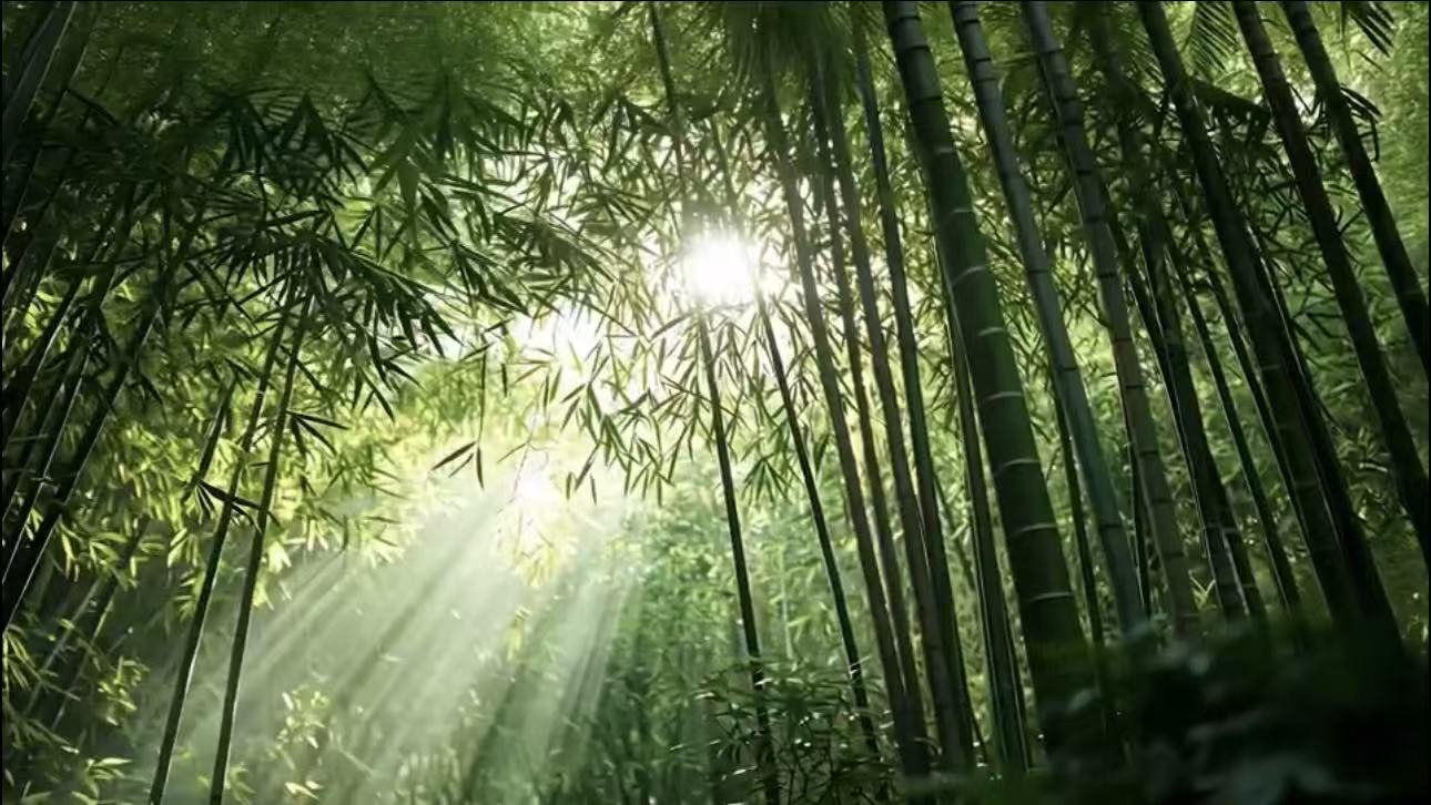 一根竹丝连匠心 公益赋能共富路