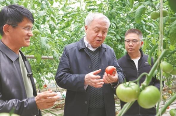 科技惠农助振兴 